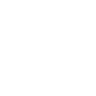 Move for Fun
